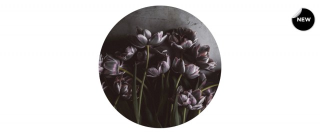  Dark Tulips διακοσμητικός πίνακας